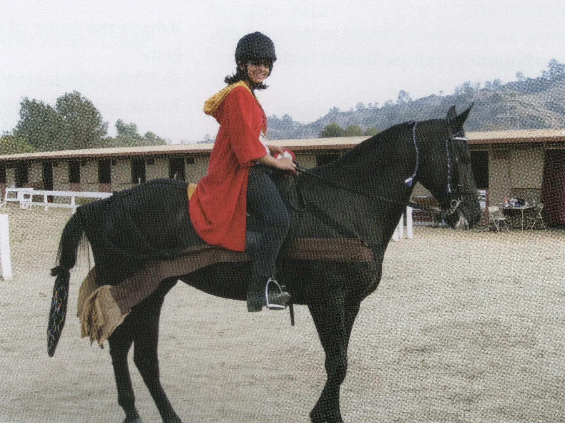 Harry Potter & the Flying Broom - NPWHA Futurity 2010