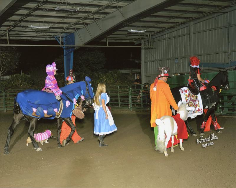 Alice in Wonderland - NCWHA Oktoberfest 2014