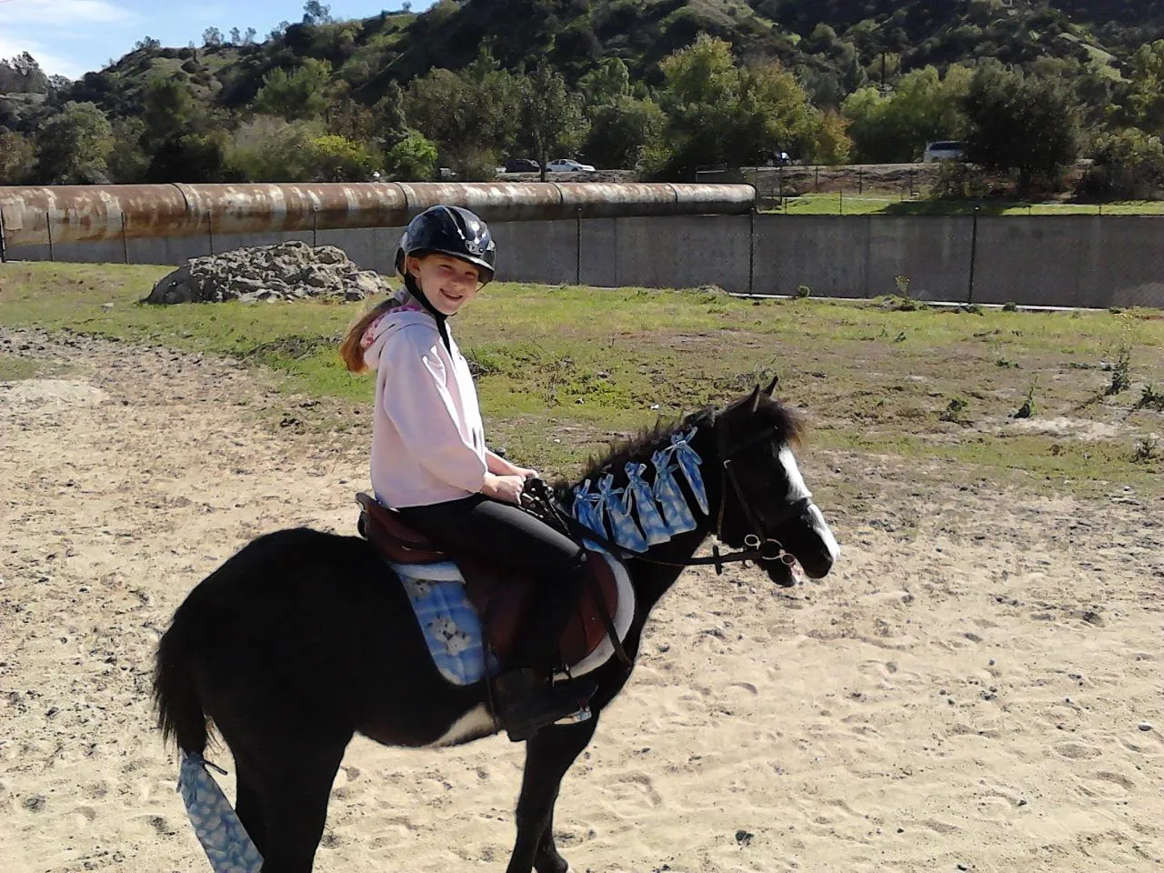 America's Favorite Cookie