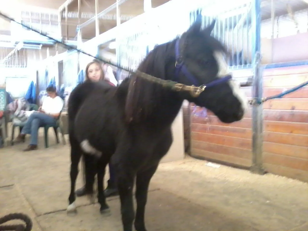 America's Favorite Cookie