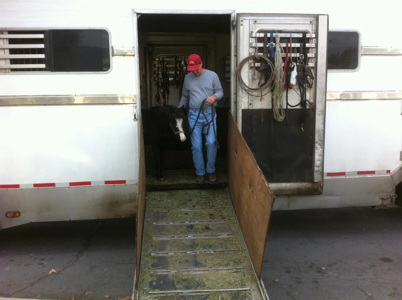 America's Favorite Cookie