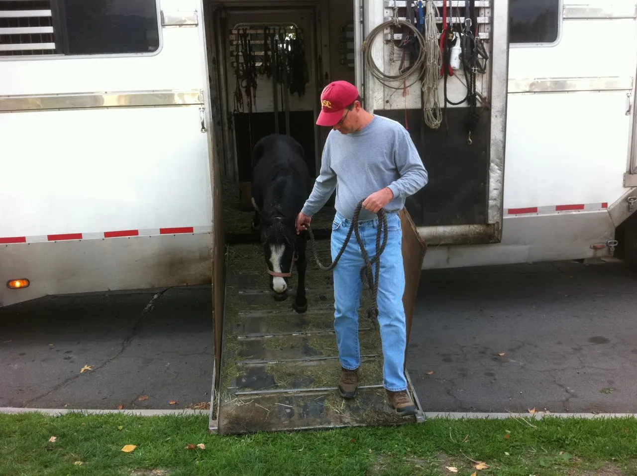 America's Favorite Cookie
