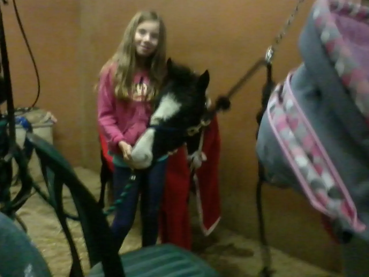 America's Favorite Cookie