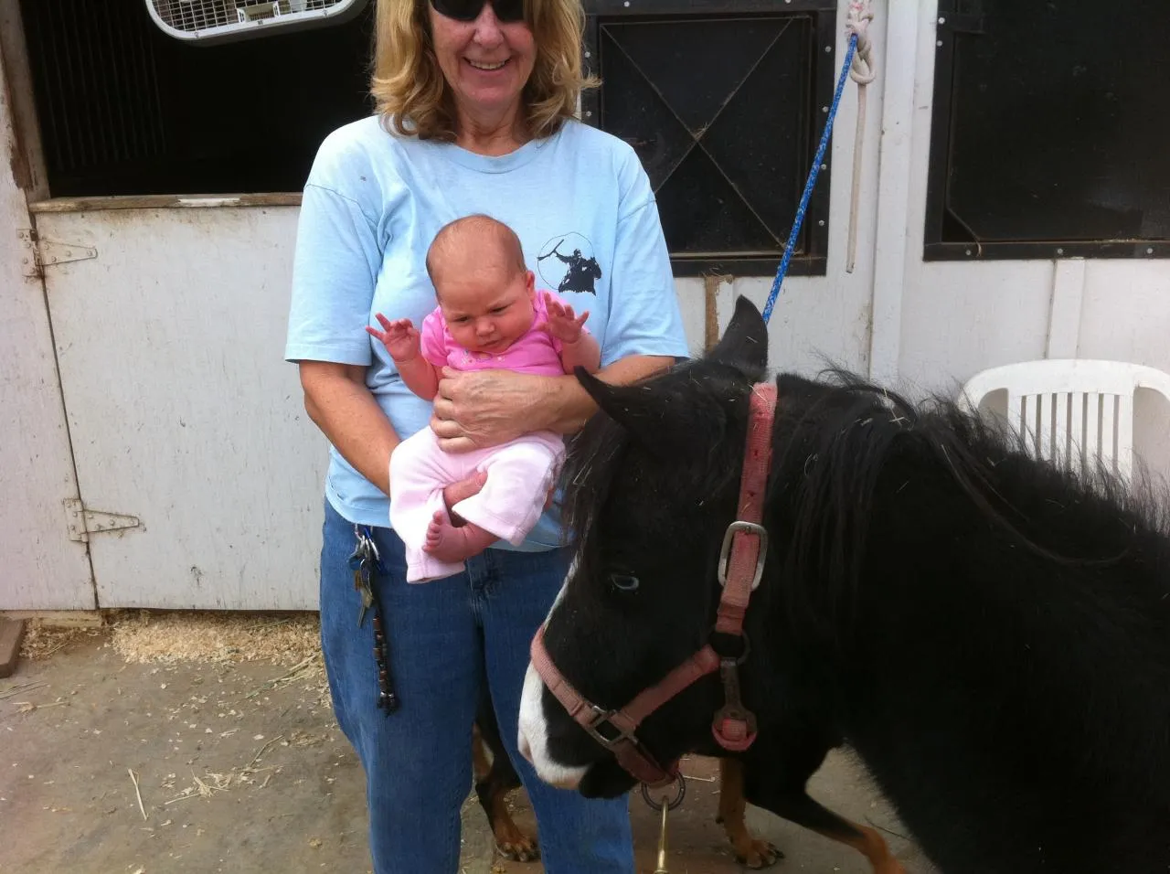 America's Favorite Cookie