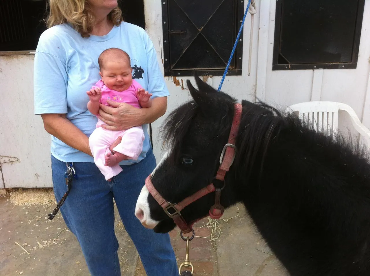 America's Favorite Cookie