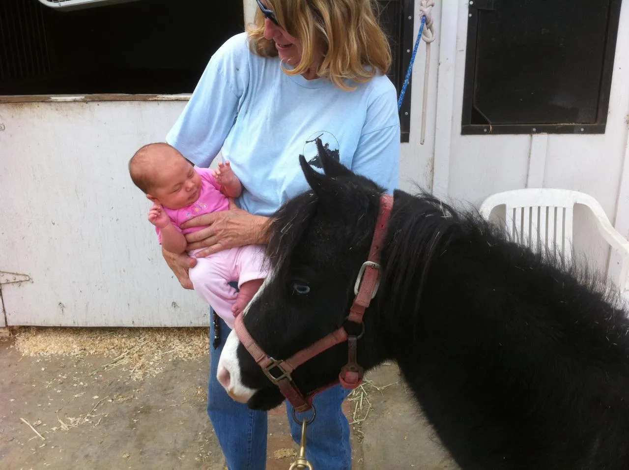 America's Favorite Cookie