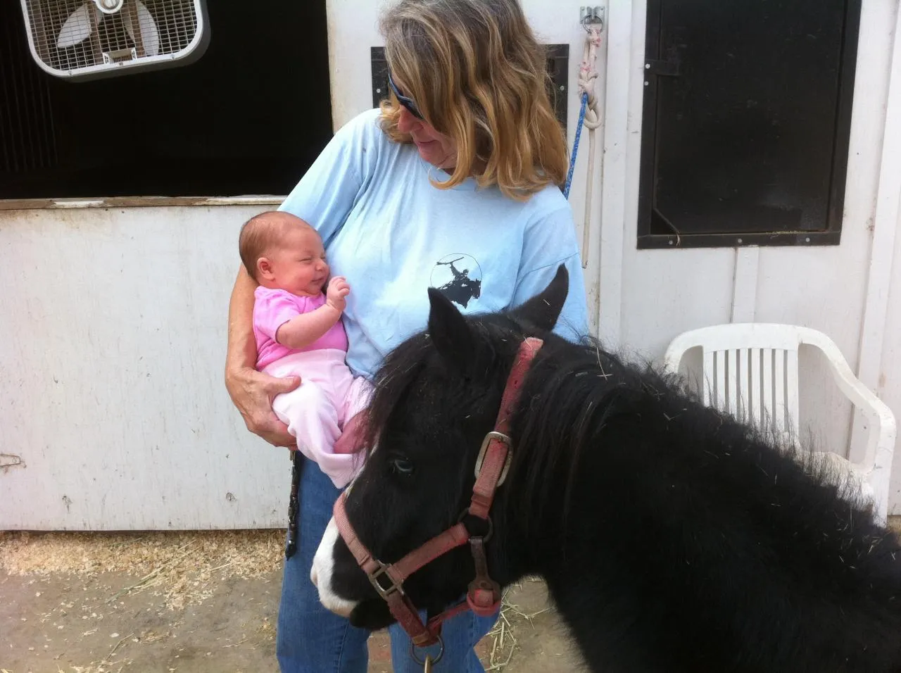 America's Favorite Cookie