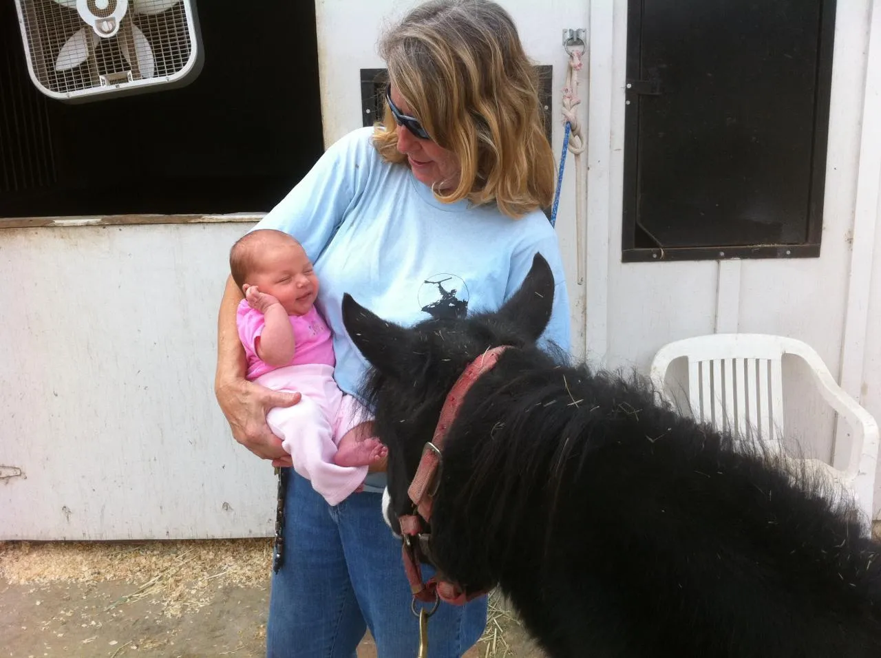 America's Favorite Cookie