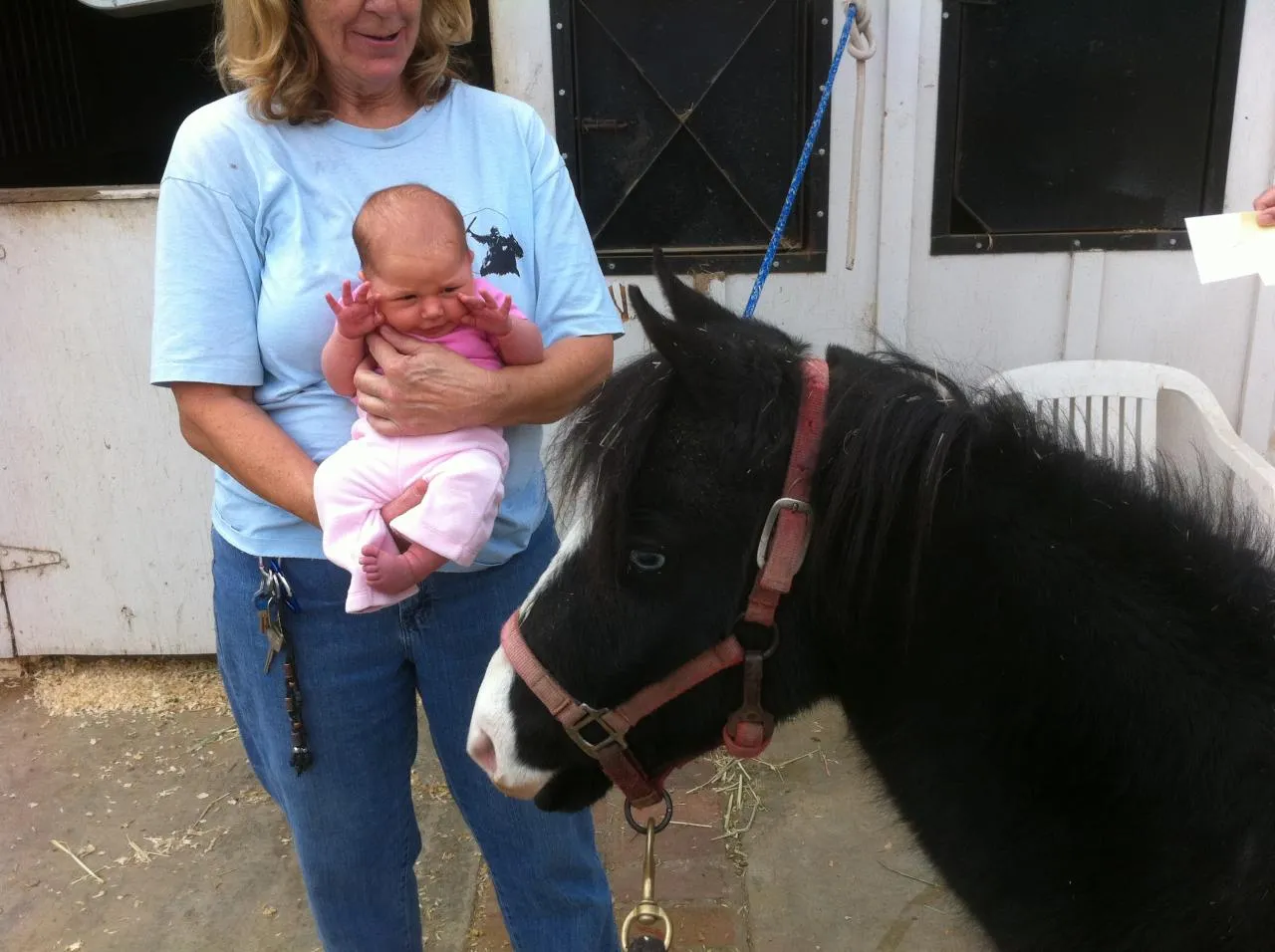 America's Favorite Cookie