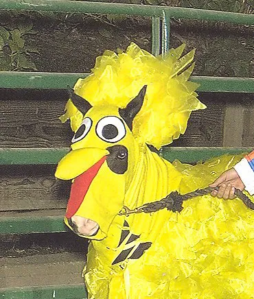 America's Favorite Cookie