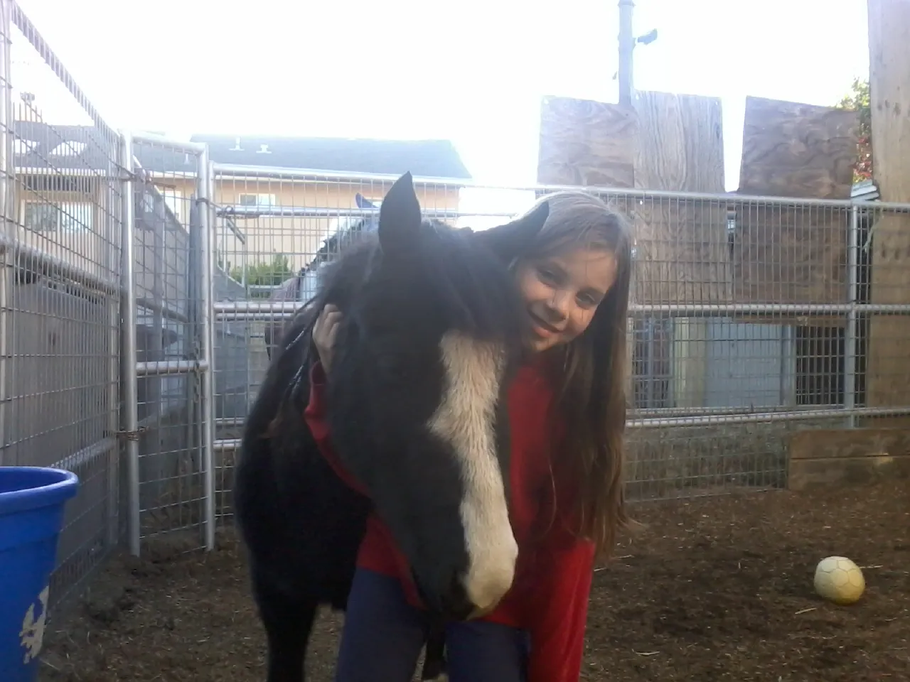 America's Favorite Cookie