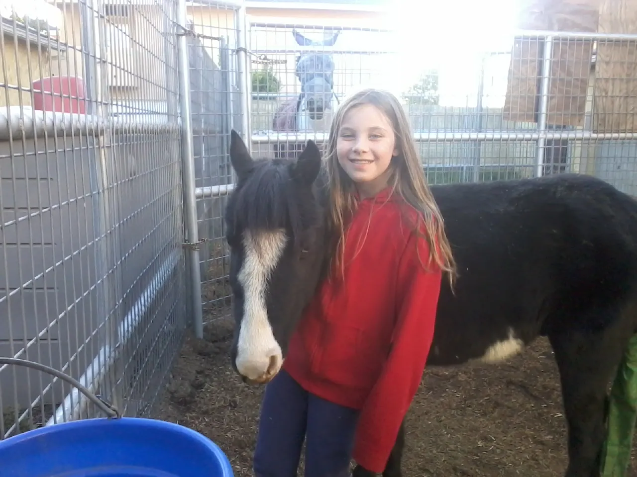 America's Favorite Cookie