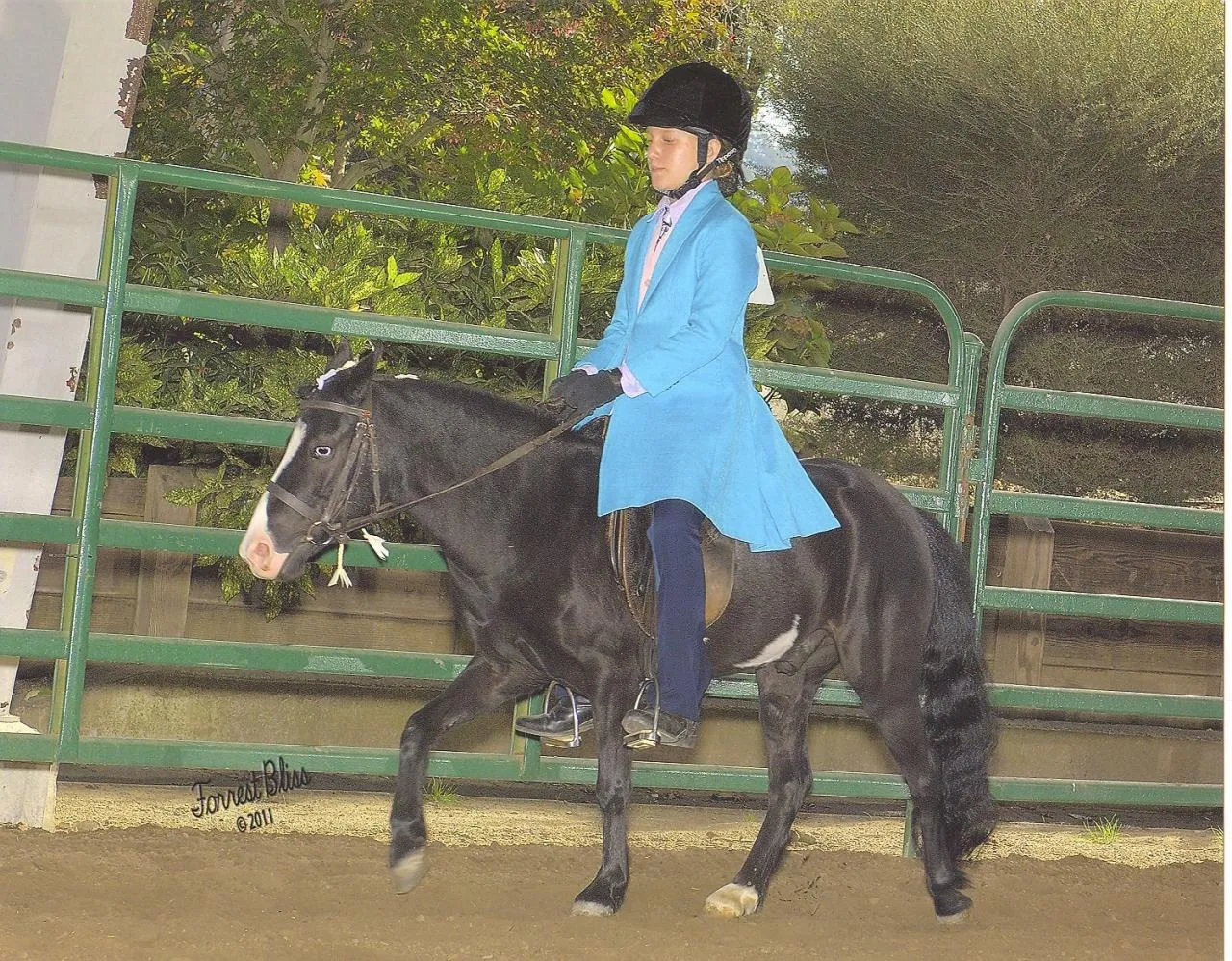 America's Favorite Cookie