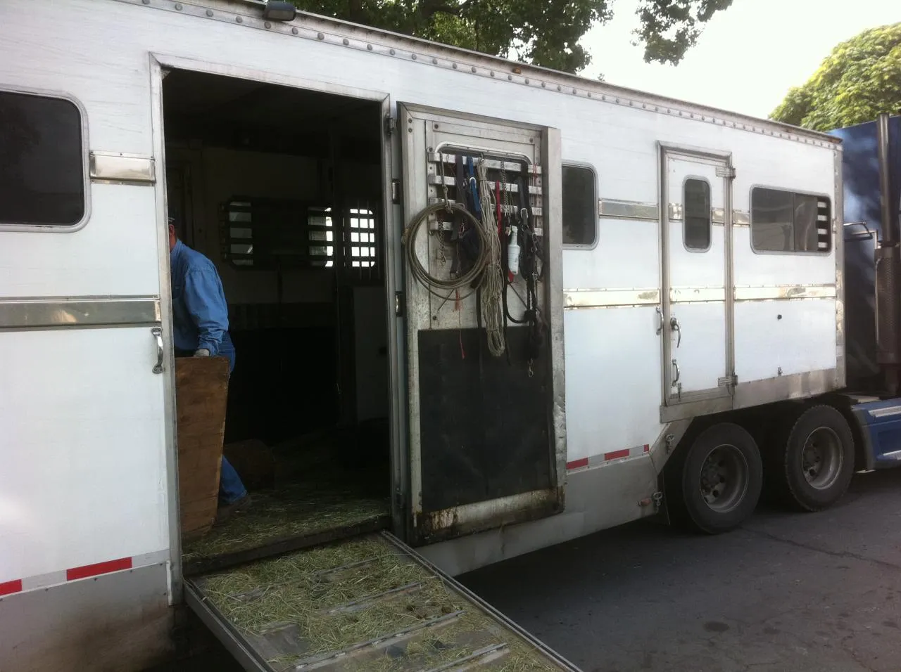 America's Favorite Cookie