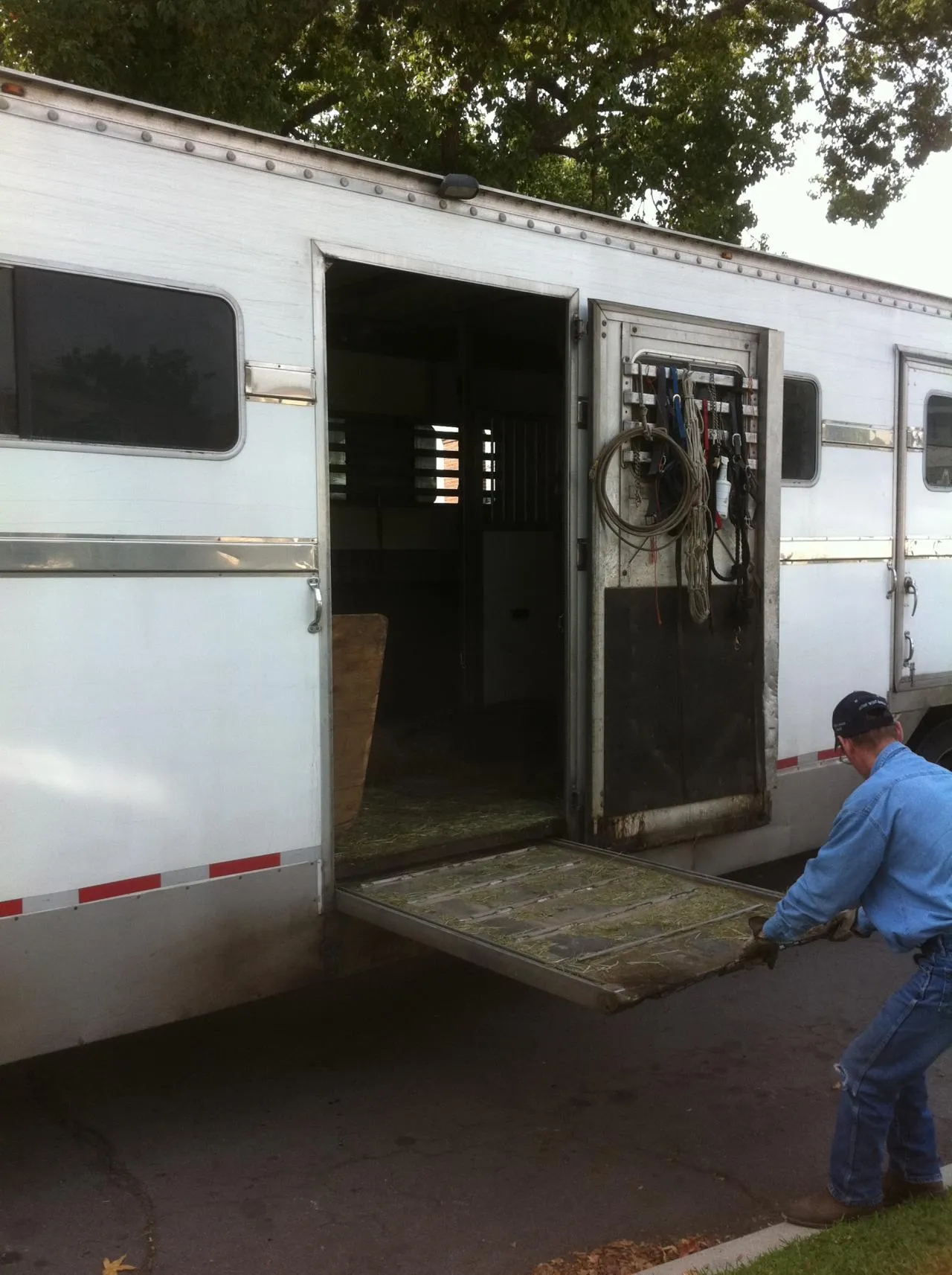 America's Favorite Cookie