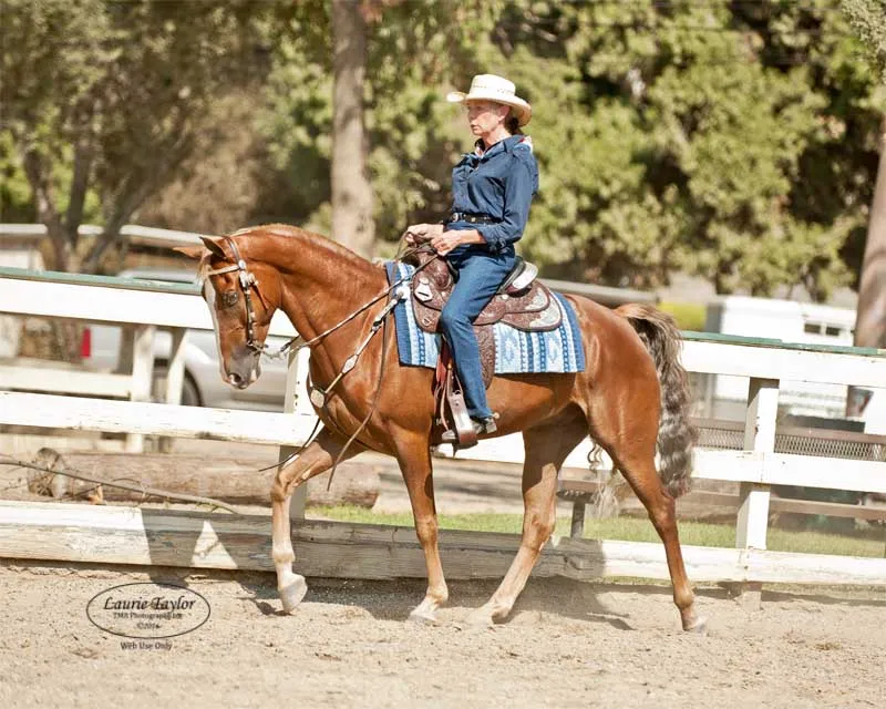 General Custer's Hennessy