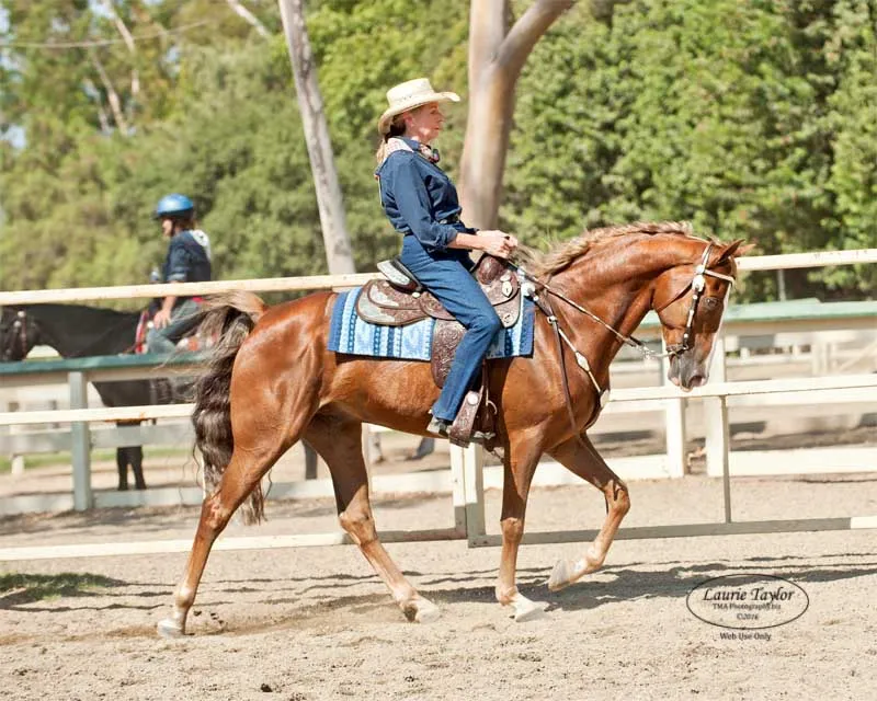 General Custer's Hennessy