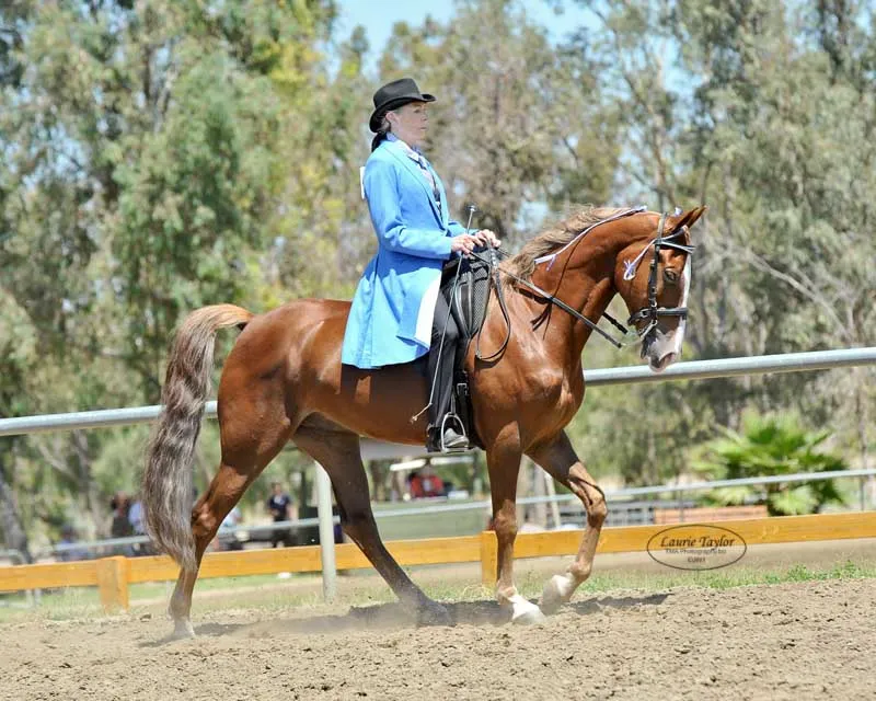 General Custer's Hennessy
