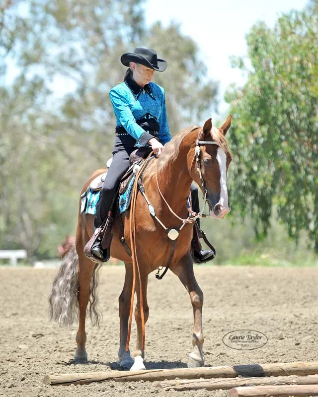 General Custer's Hennessy