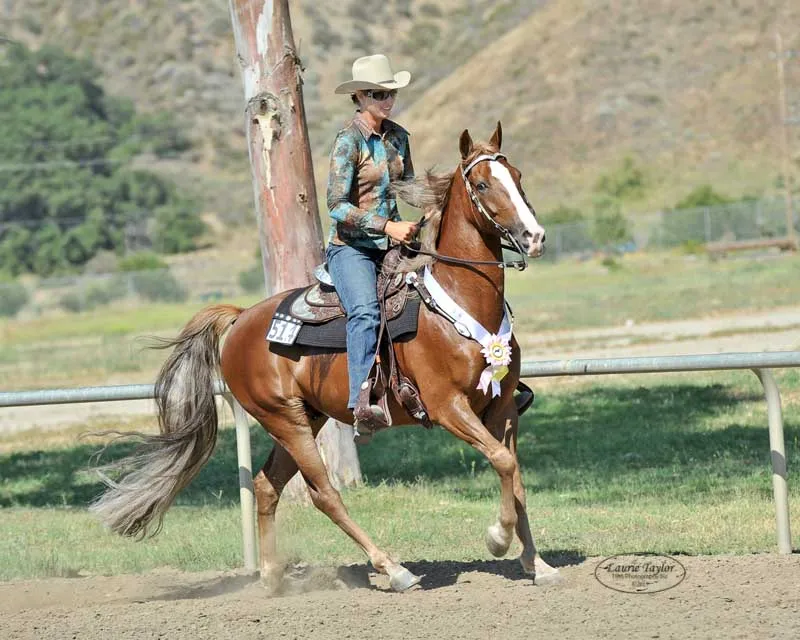 General Custer's Hennessy