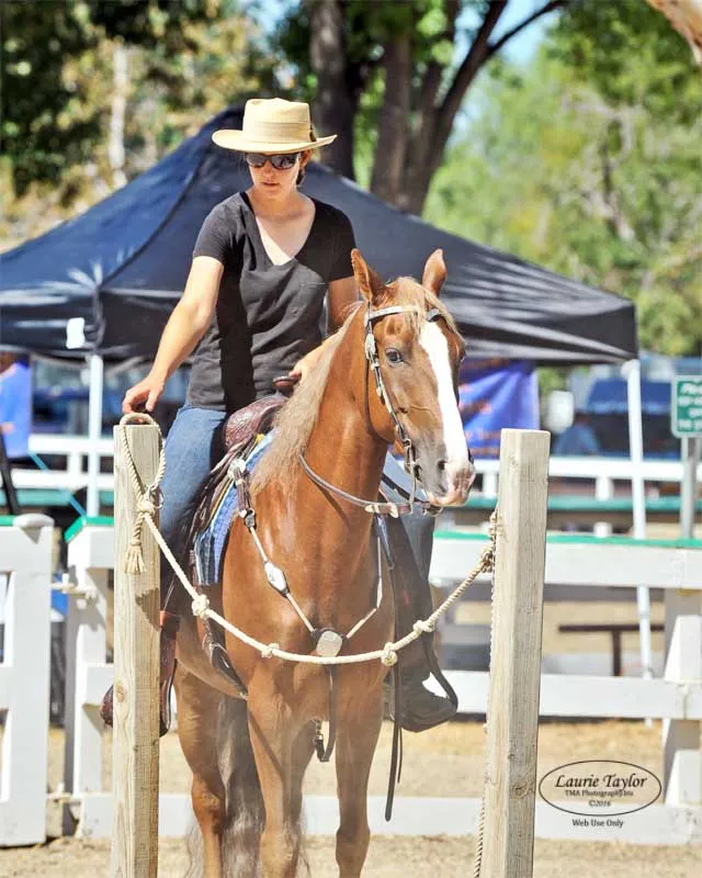 General Custer's Hennessy