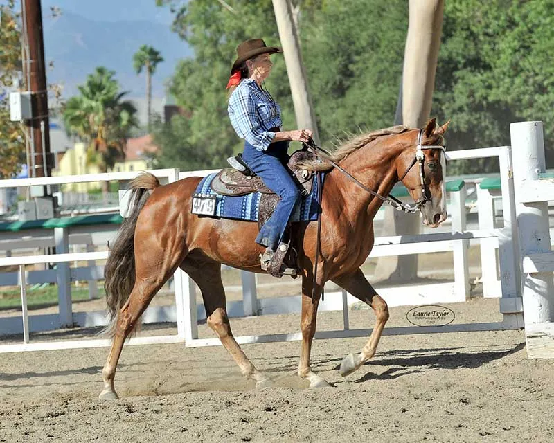 General Custer's Hennessy