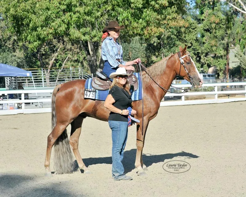 General Custer's Hennessy