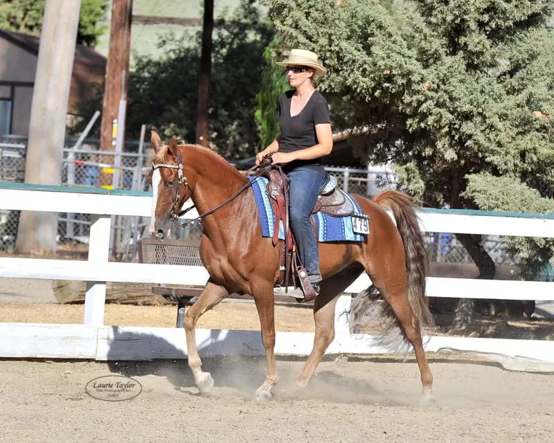 General Custer's Hennessy