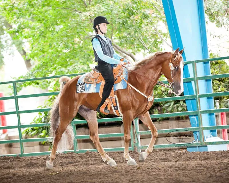 General Custer's Hennessy