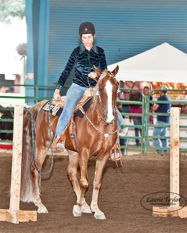 General Custer's Hennessy