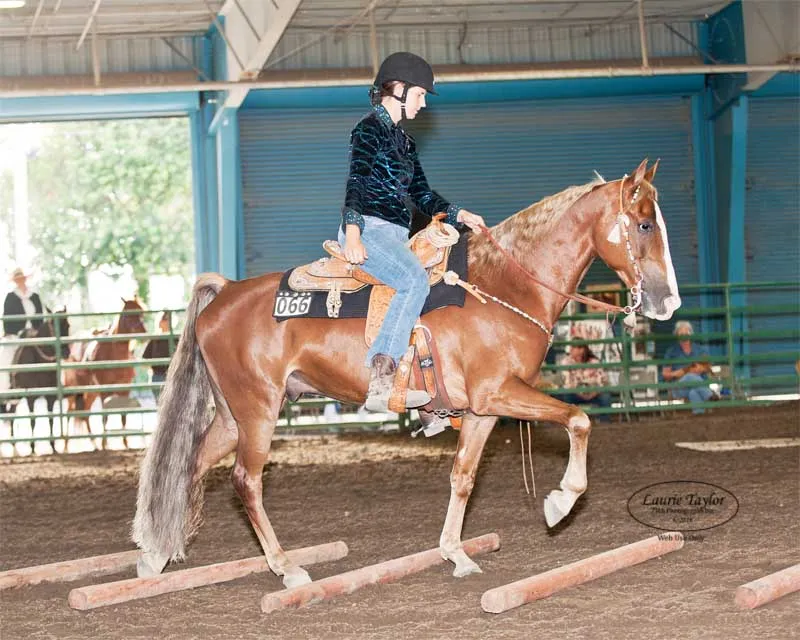 General Custer's Hennessy