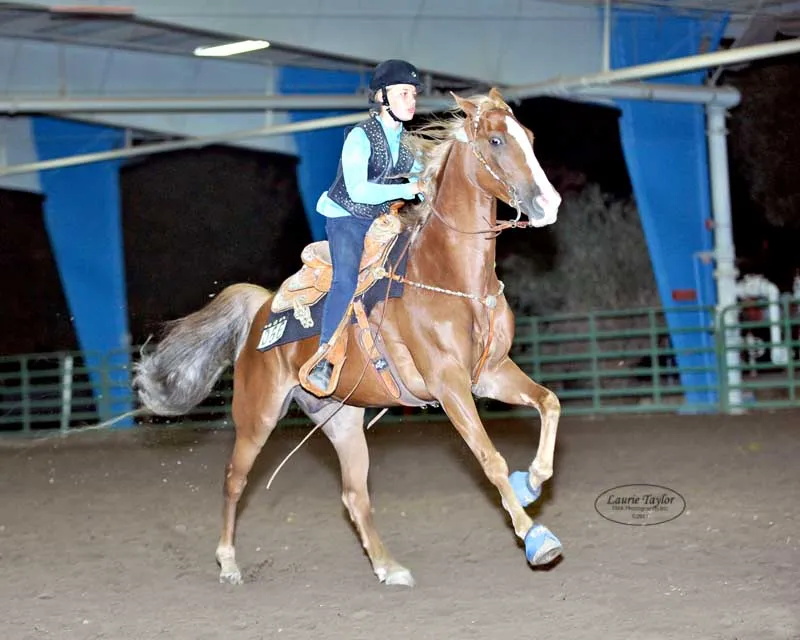 General Custer's Hennessy