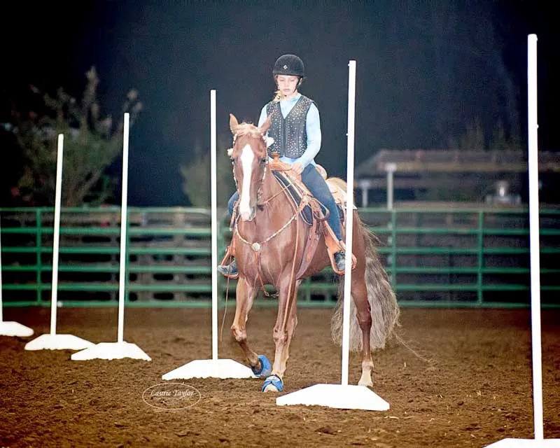 General Custer's Hennessy