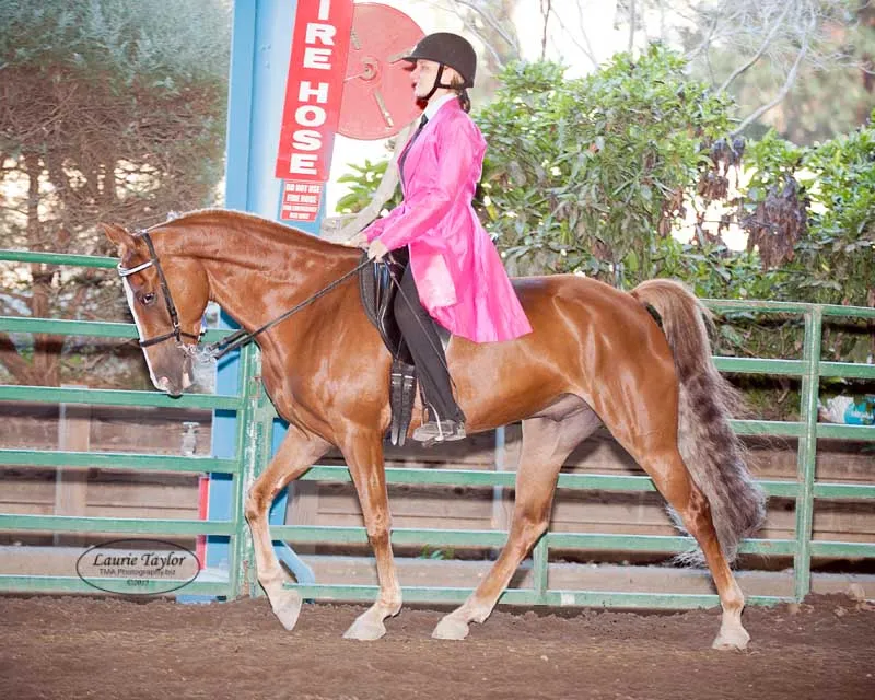 General Custer's Hennessy