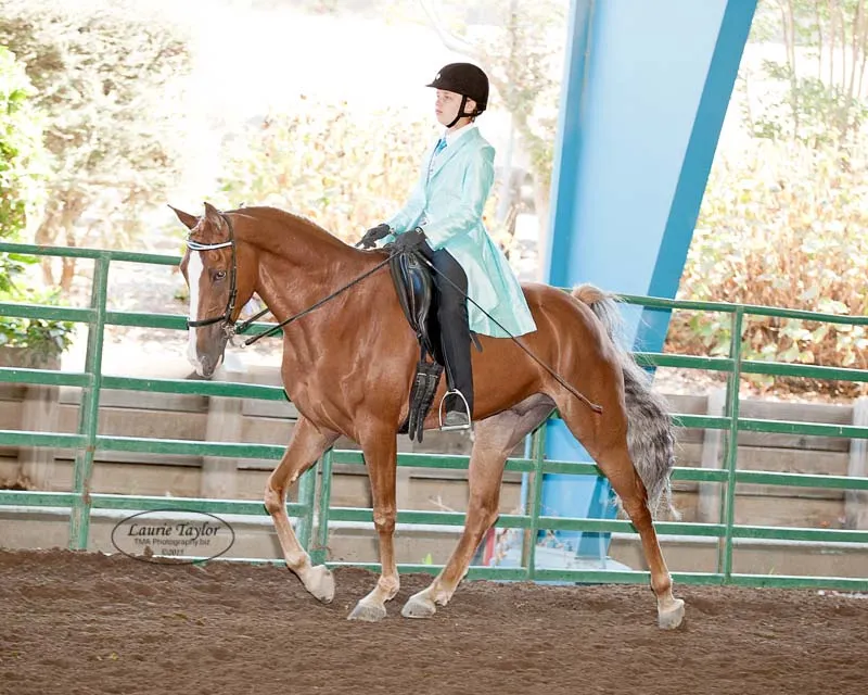 General Custer's Hennessy