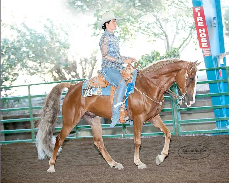 General Custer's Hennessy