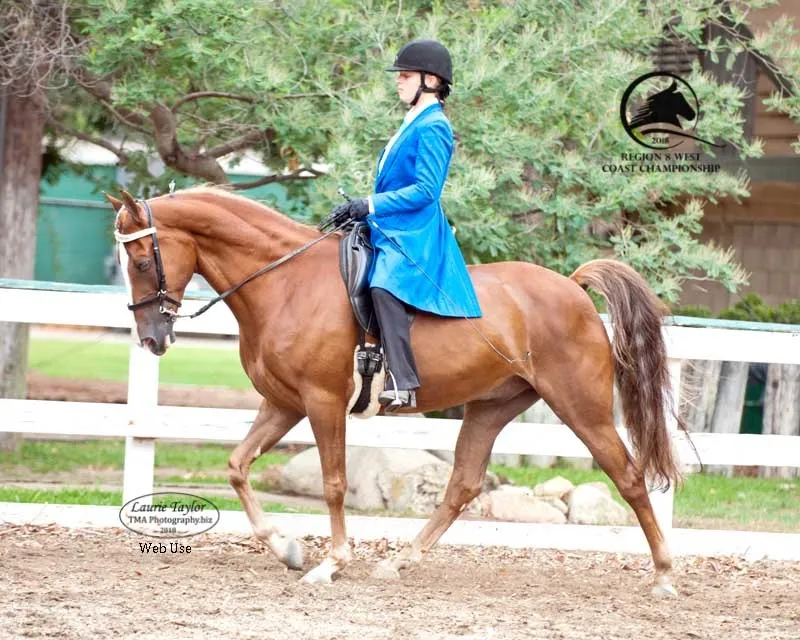 General Custer's Hennessy