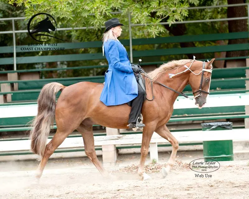 General Custer's Hennessy