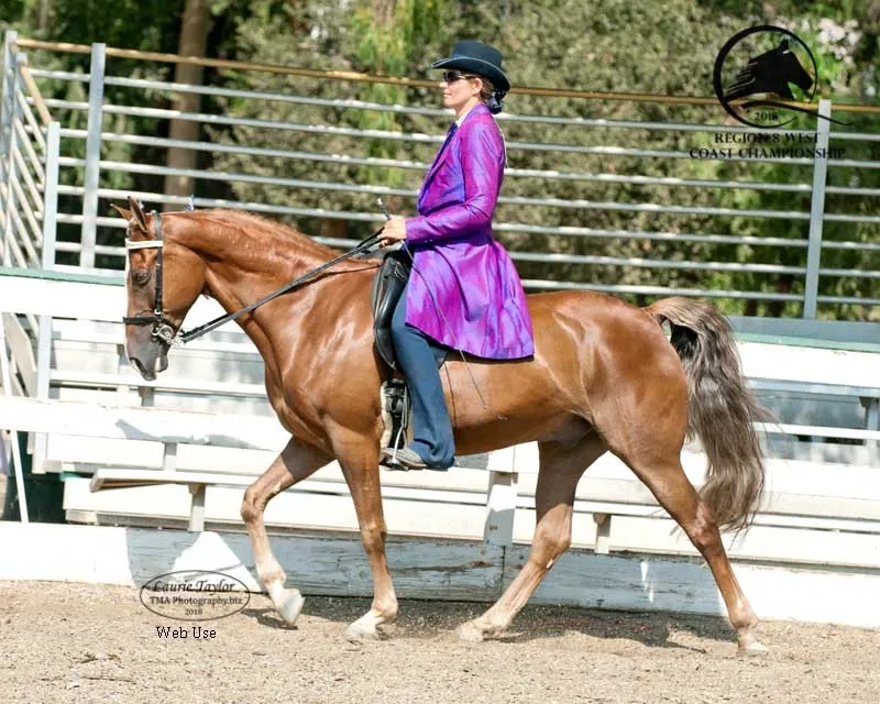 General Custer's Hennessy