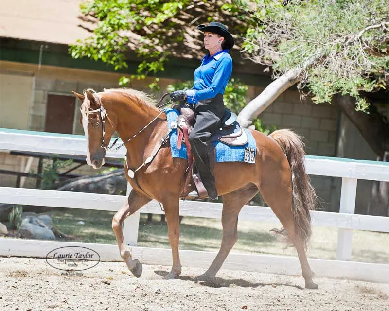 General Custer's Hennessy