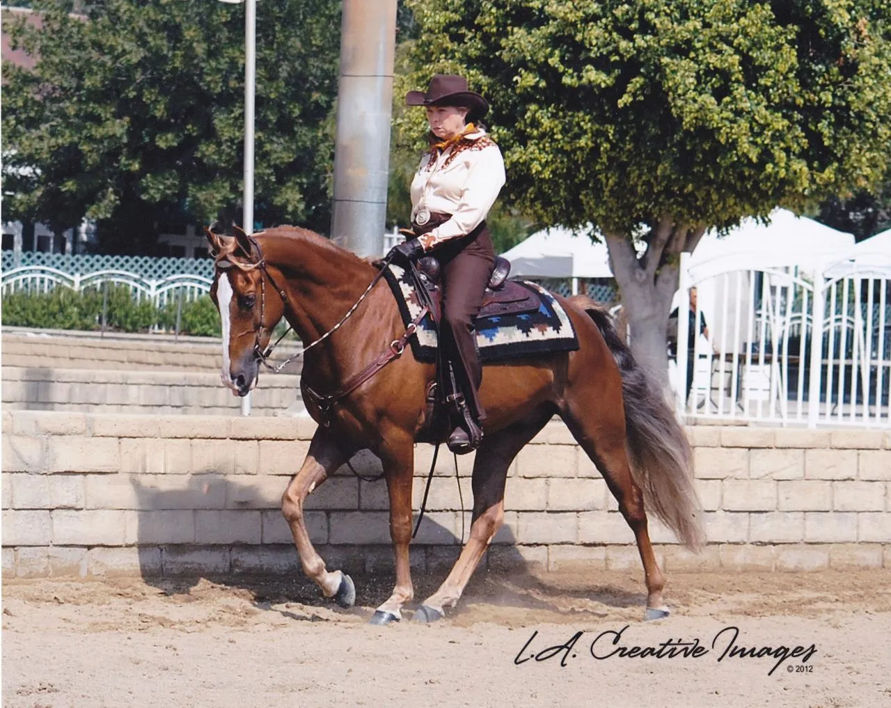 General Custer's Hennessy