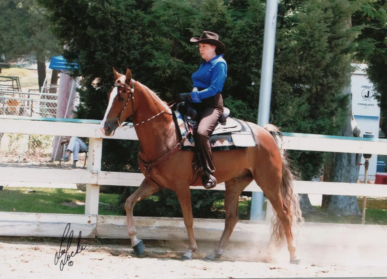 General Custer's Hennessy