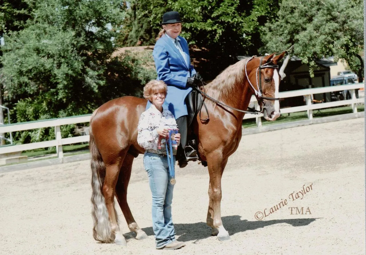 General Custer's Hennessy