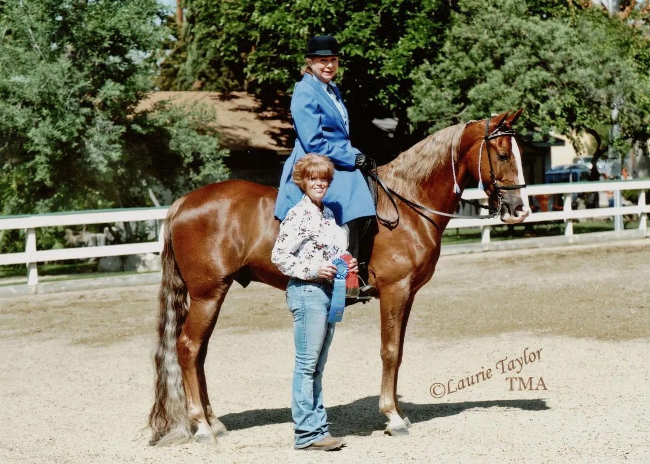 General Custer's Hennessy