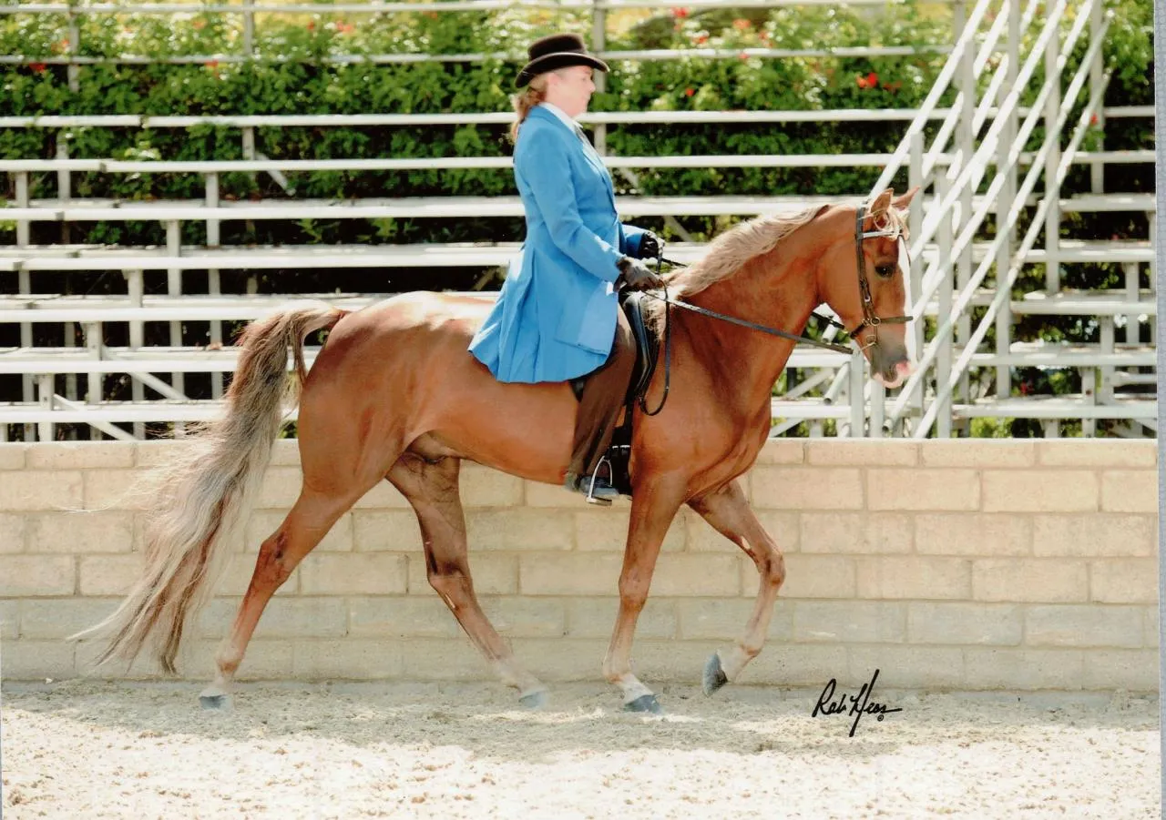 General Custer's Hennessy