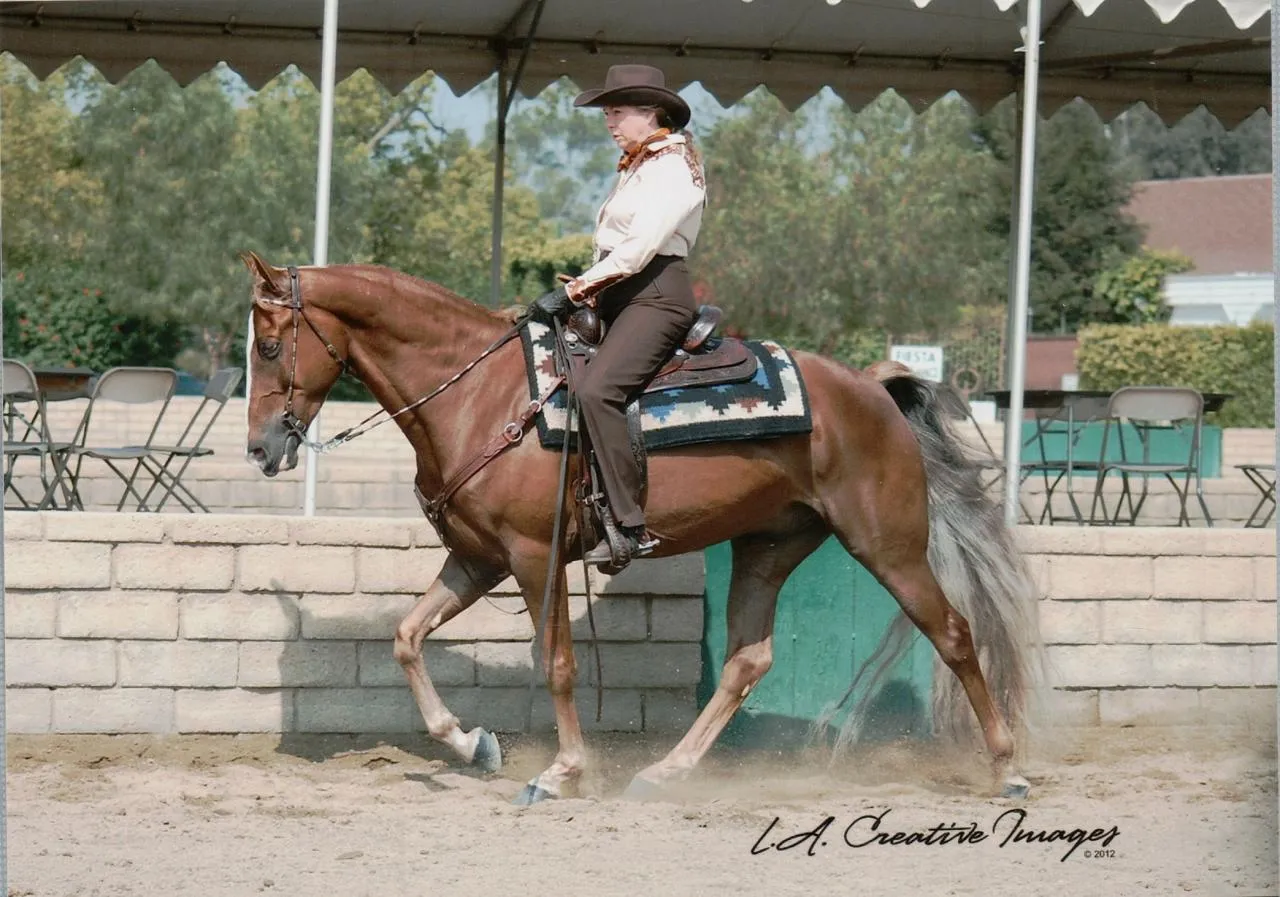 General Custer's Hennessy