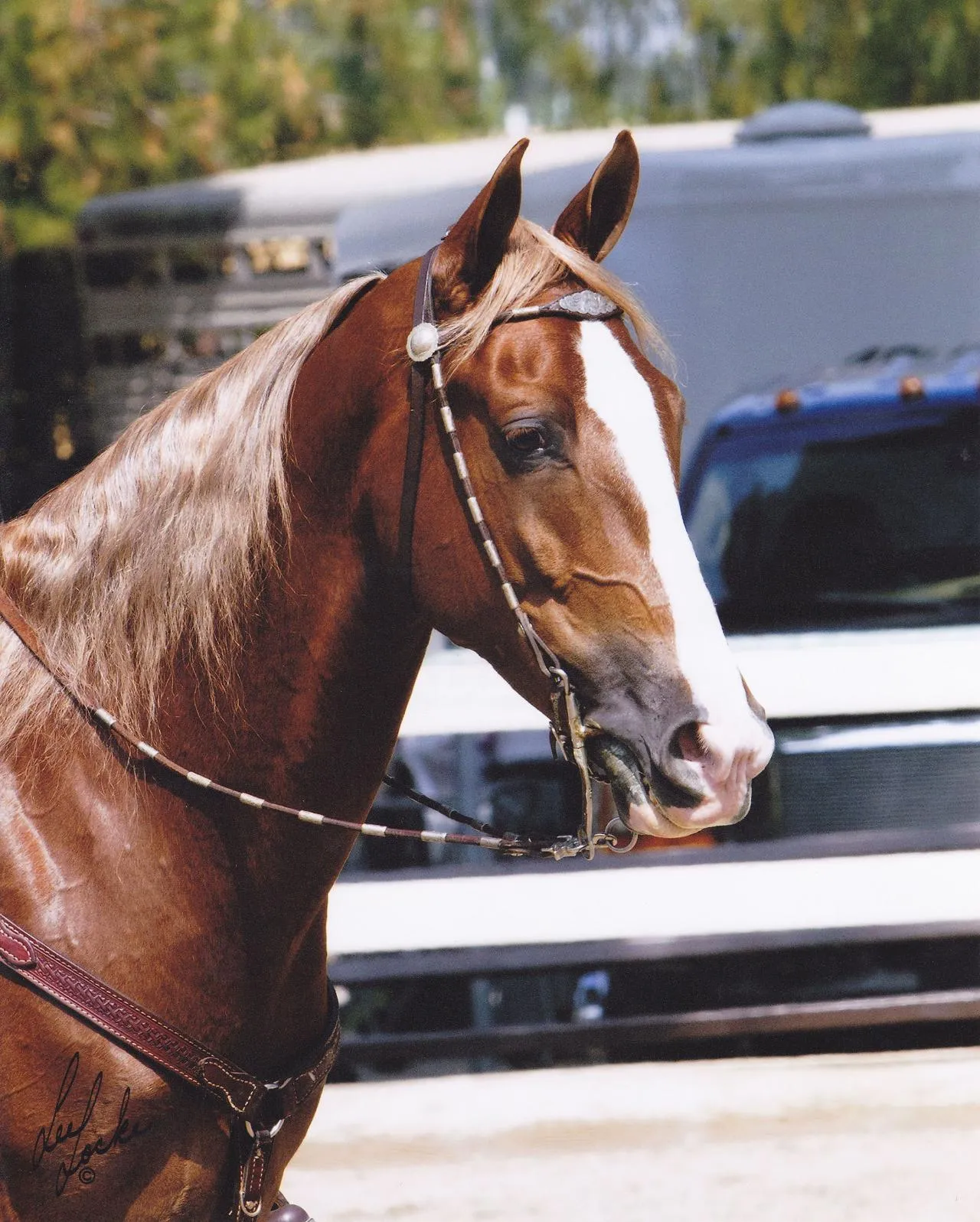 General Custer's Hennessy