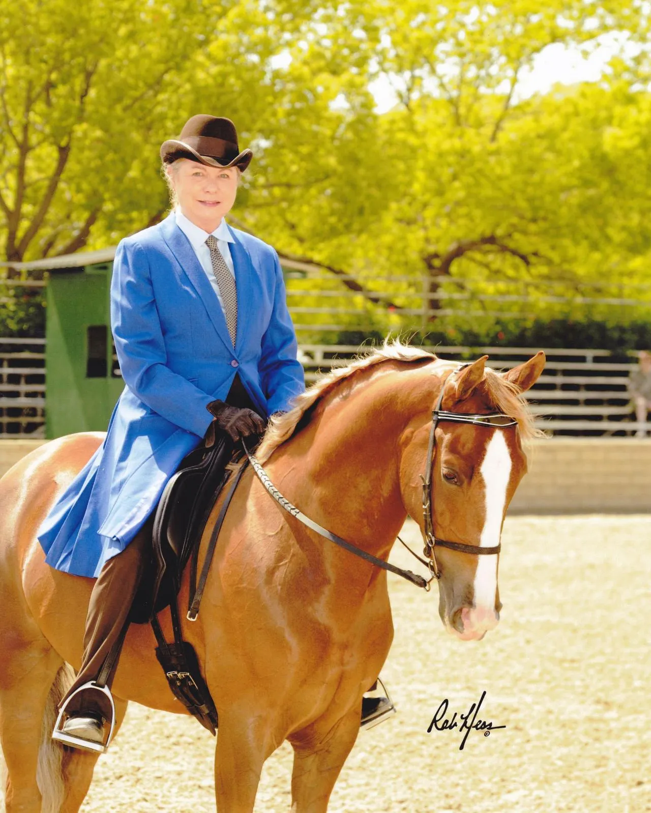 General Custer's Hennessy