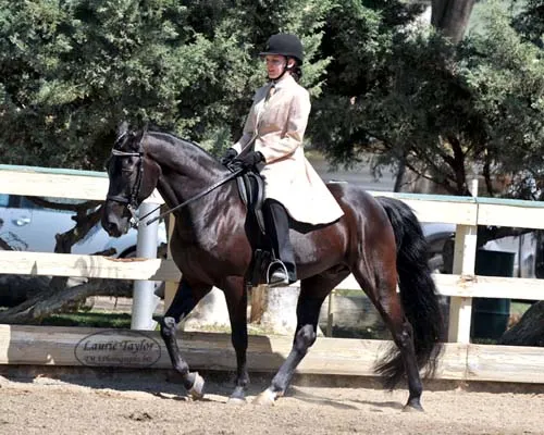 Venus's Dollar General