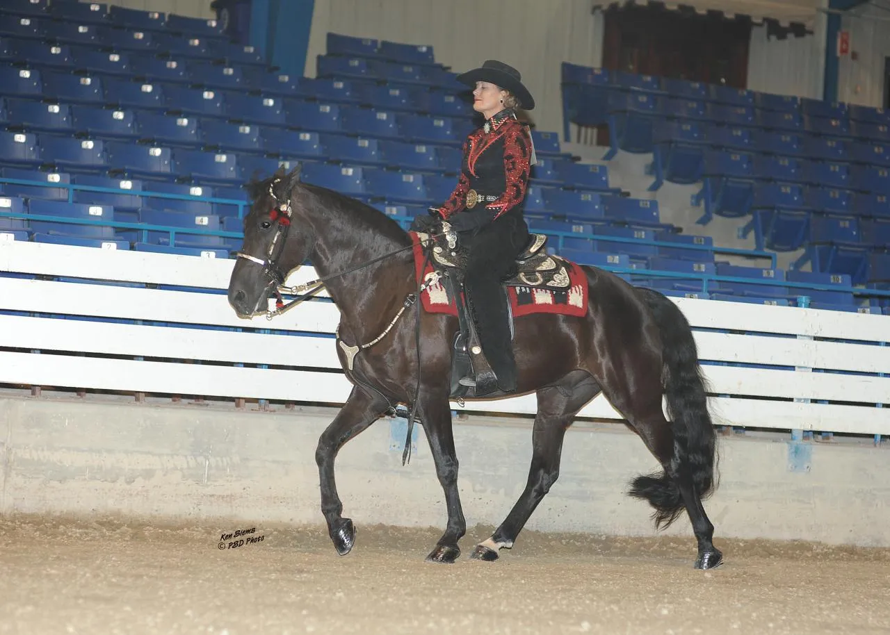 Venus's Dollar General